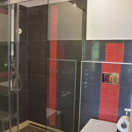 Apartment Domek Palenica *